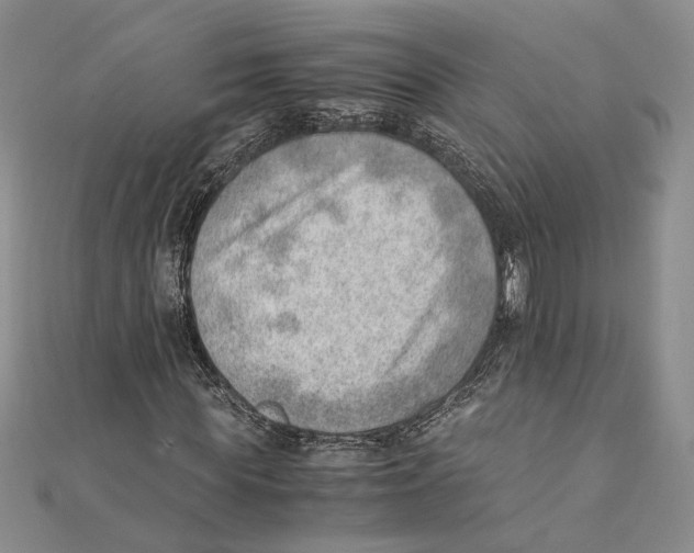 X0000111390819200908071253