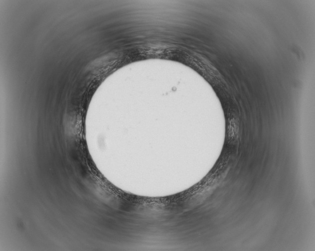 X0000111390820200908071253