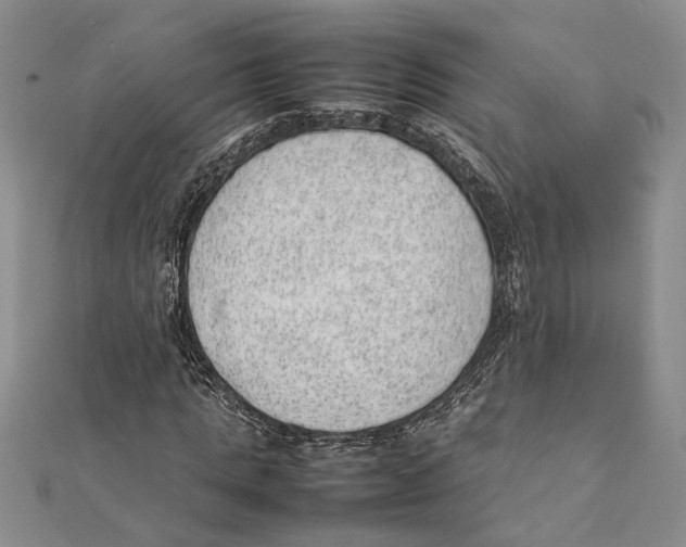 X0000111390821200908071253