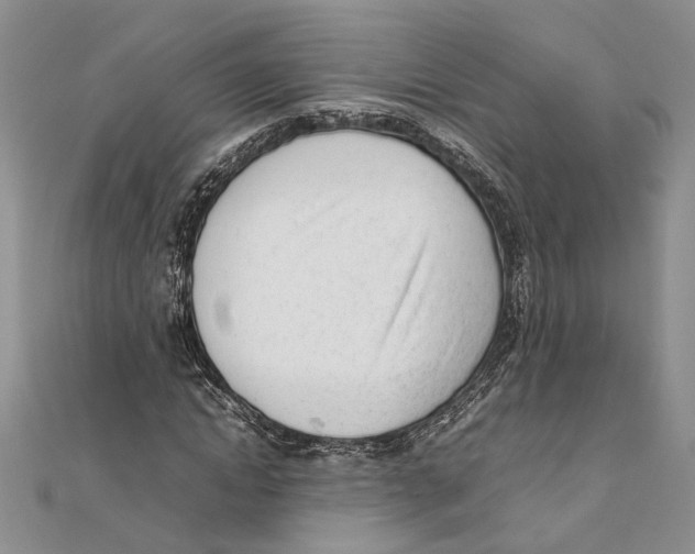 X0000111390822200908071253
