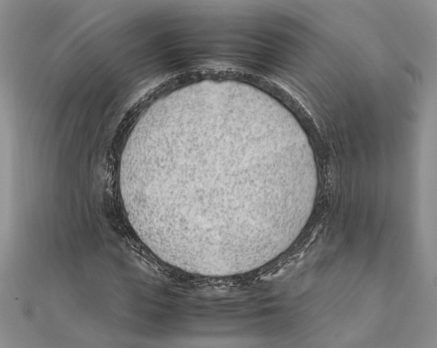 X0000111390823200908071254