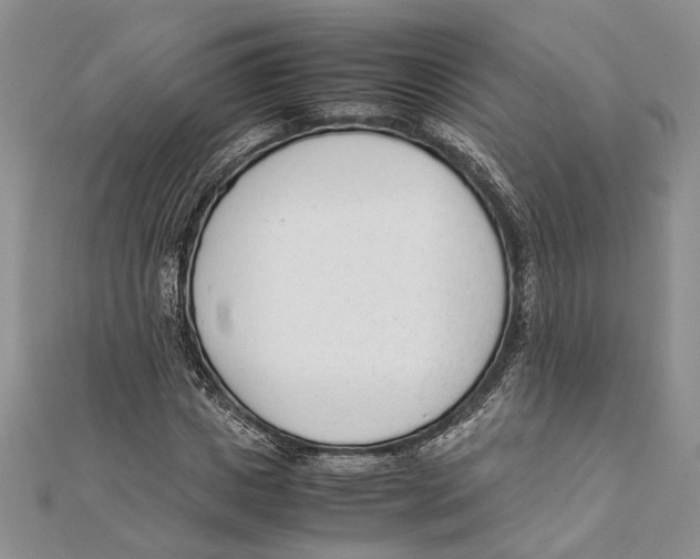 X0000111390825200908071254