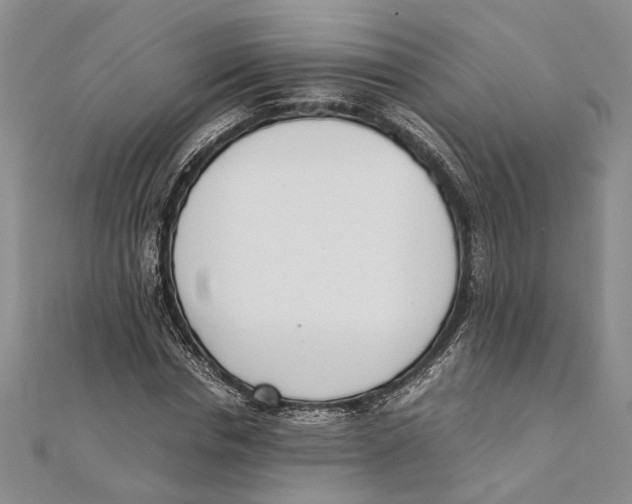 X0000111390826200908071254