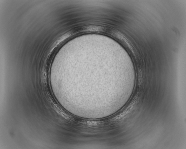 X0000111390827200908071254