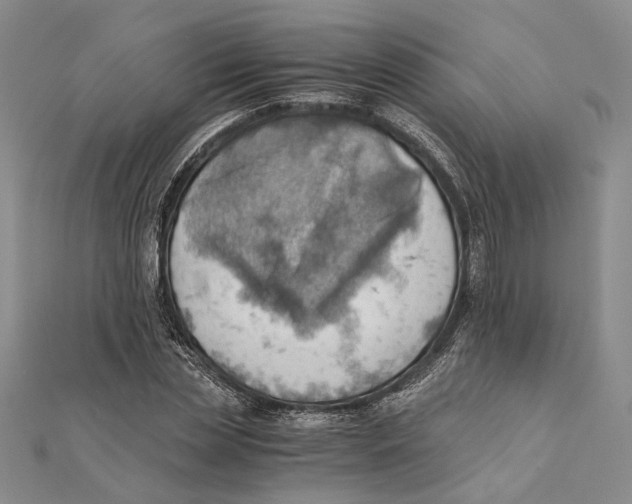 X0000111390829200908071254