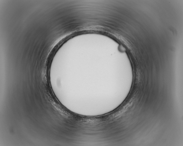 X0000111390830200908071254