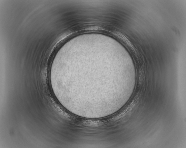 X0000111390831200908071254
