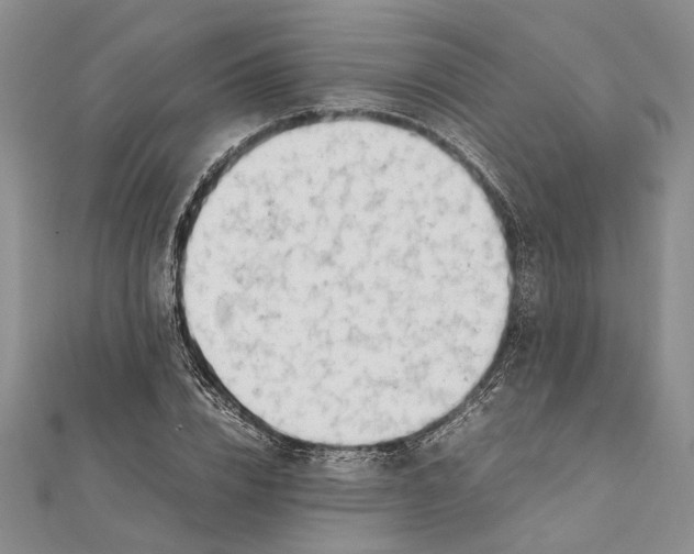 X0000111390832200908071254