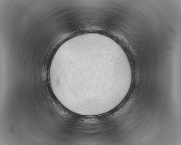 X0000111390833200908071254
