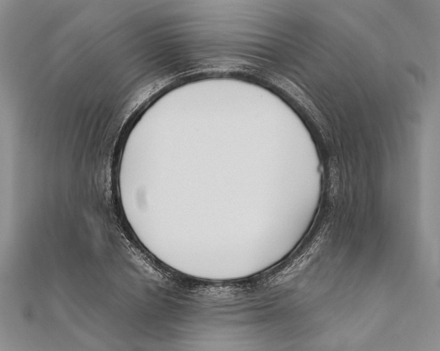 X0000111390834200908071254