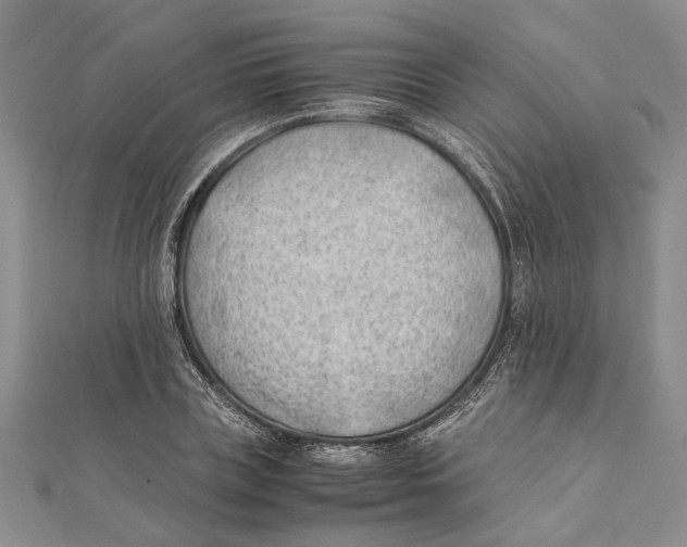 X0000111390835200908071254