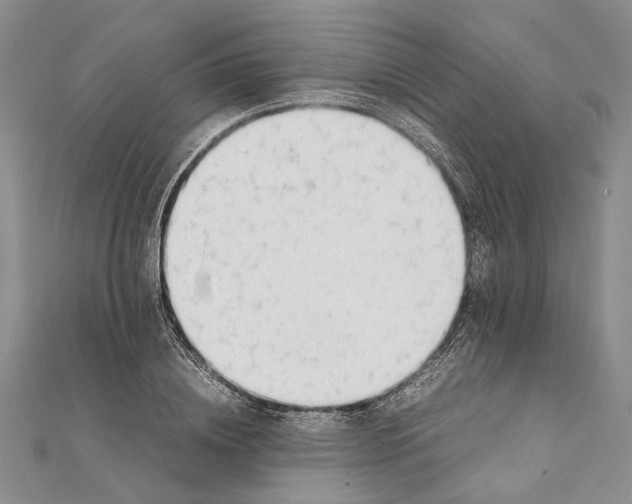 X0000111390836200908071254