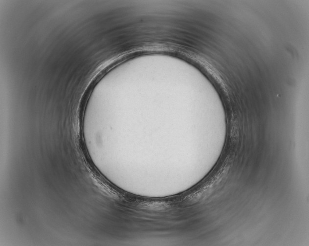 X0000111390837200908071254