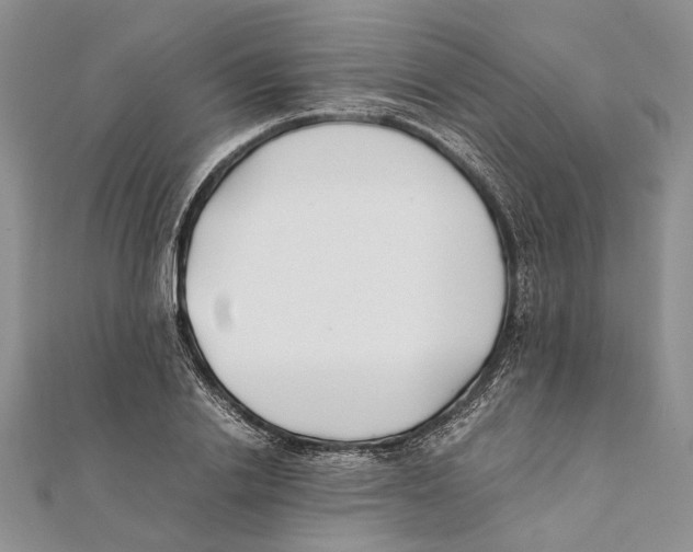 X0000111390838200908071254