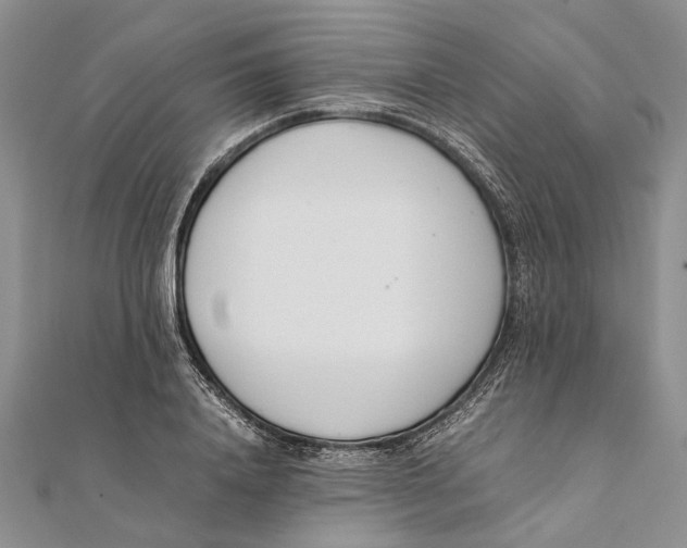 X0000111390840200908071254