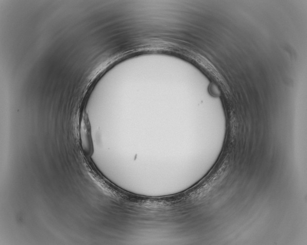 X0000111390842200908071254