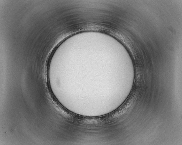 X0000111390843200908071254