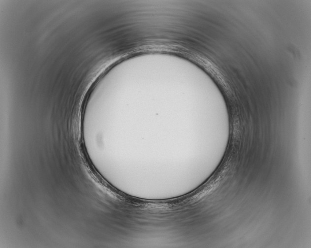 X0000111390844200908071254