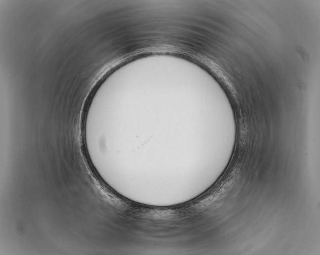 X0000111390845200908071254