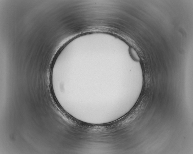 X0000111390846200908071254
