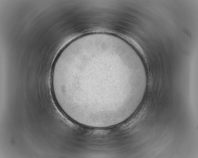 X0000111390847200908071254