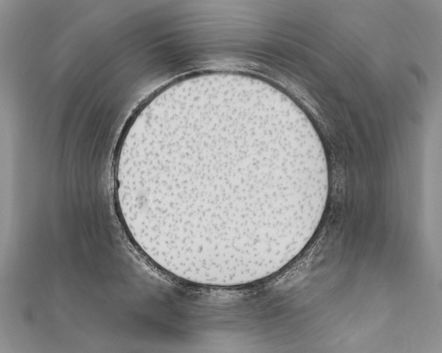 X0000111390848200908071254