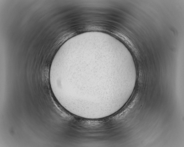 X0000111390849200908071254