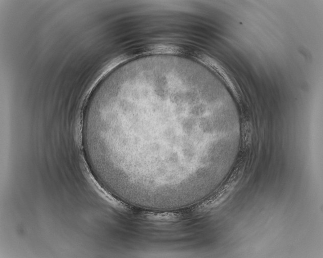 X0000111390851200908071254
