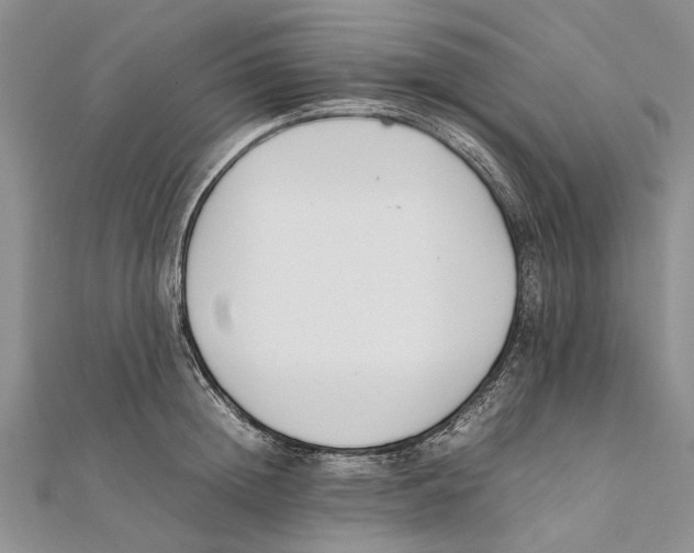 X0000111390852200908071254