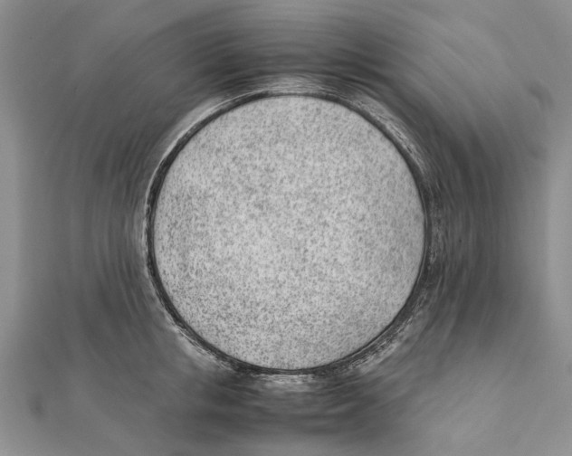 X0000111390853200908071254