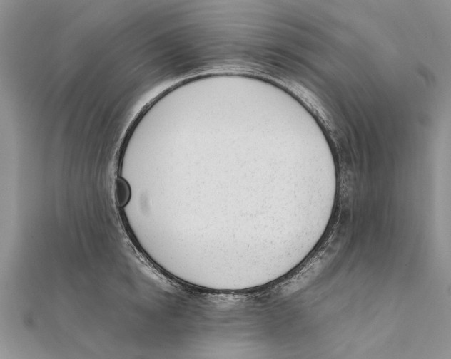 X0000111390854200908071254