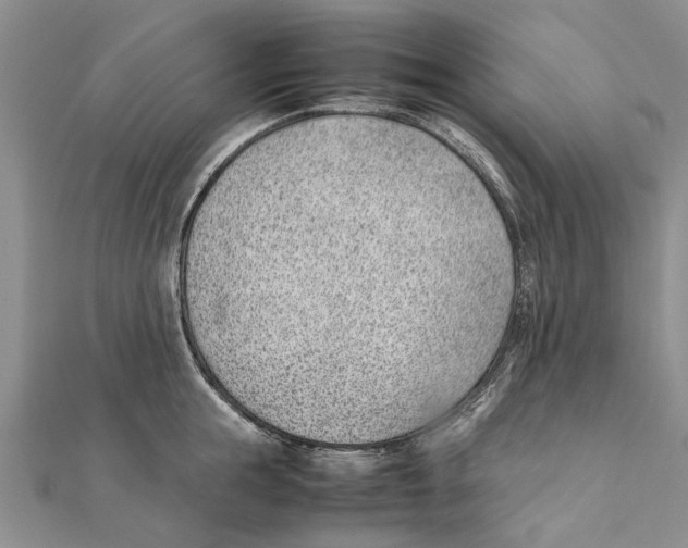 X0000111390855200908071254
