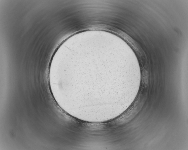 X0000111390856200908071254
