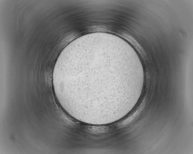 X0000111390857200908071254