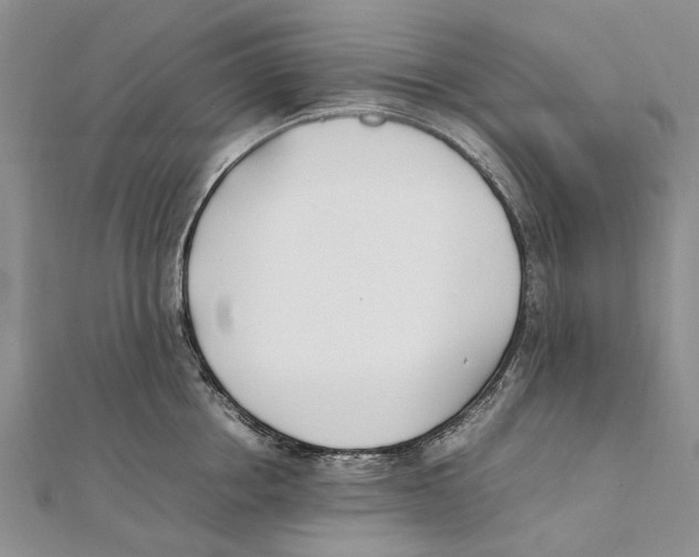 X0000111390858200908071254
