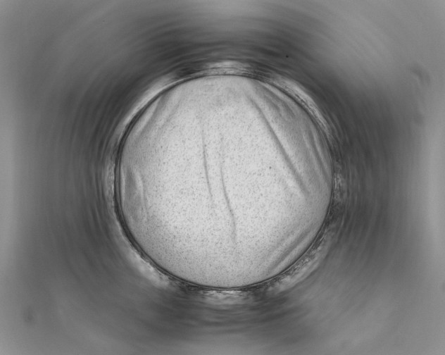 X0000111390859200908071254