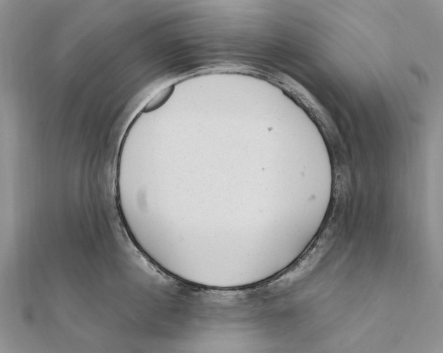 X0000111390860200908071254