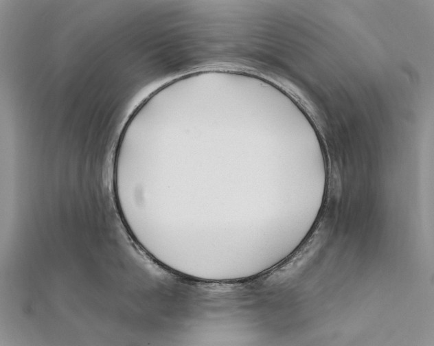 X0000111390862200908071254