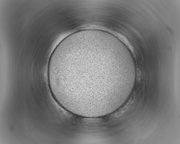 X0000111390863200908071254