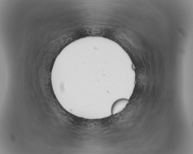 X0000111390865200908071253
