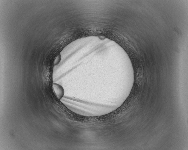 X0000111390866200908071253