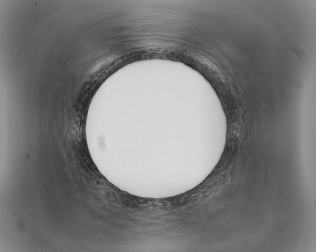 X0000111390869200908071253