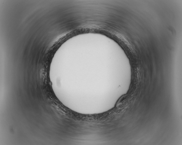 X0000111390872200908071253