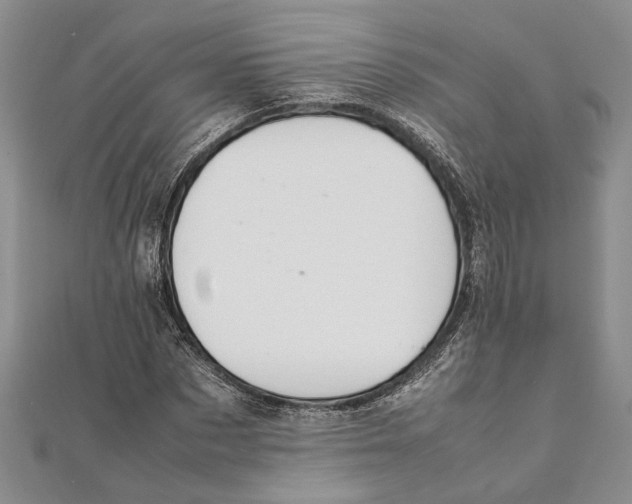 X0000111390873200908071253
