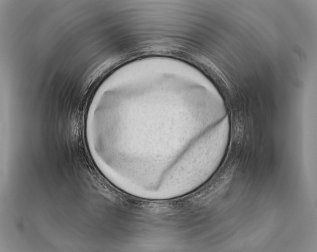 X0000111390874200908071253
