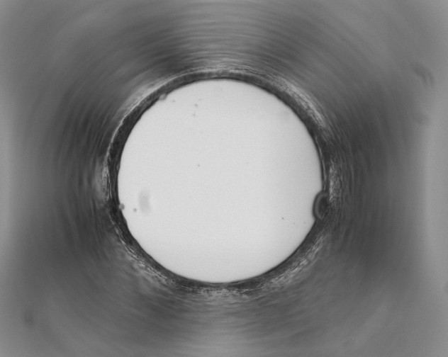 X0000111390876200908071253