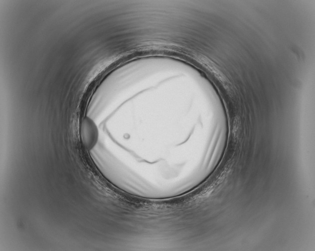 X0000111390877200908071253