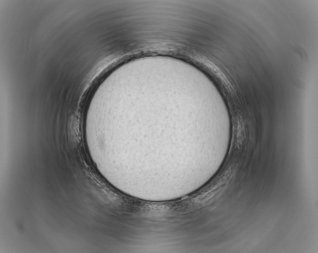 X0000111390878200908071253