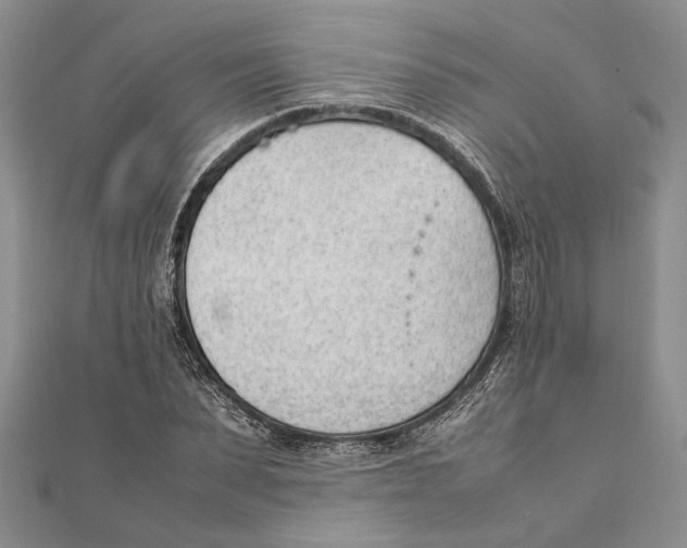 X0000111390879200908071253