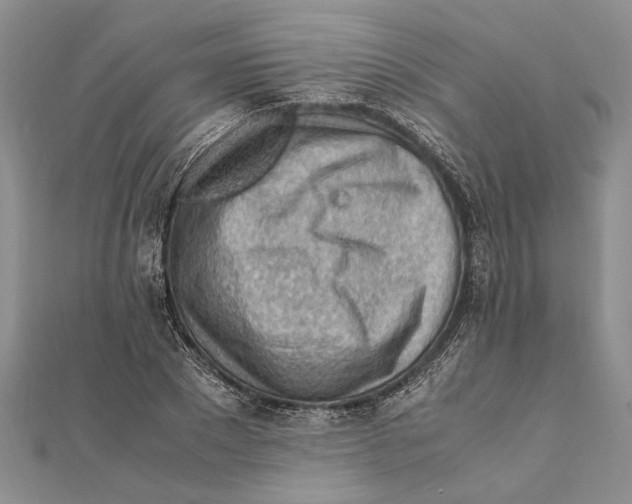 X0000111390881200908071253